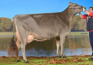 Vogelsmatt BS Wagor-WINONA